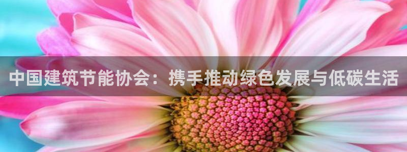 e尊国际7779：中国建筑节能协会：携手推动绿色发展与低碳生活