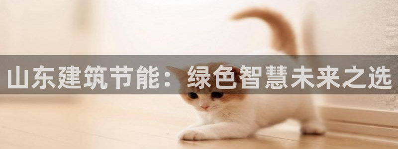 e尊国际的手机登录网站：山东建筑节能：绿色智慧未来之选