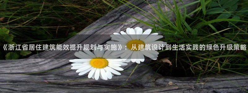 e尊国际的手机登录网站：《浙江省居住建筑能效提升规划与实施》：从建筑设计到生活实践的绿色升级策略
