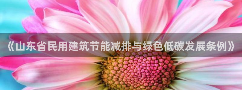 谁知道e尊国际的网址：《山东省民用建筑节能减排与绿色低碳发展条例》