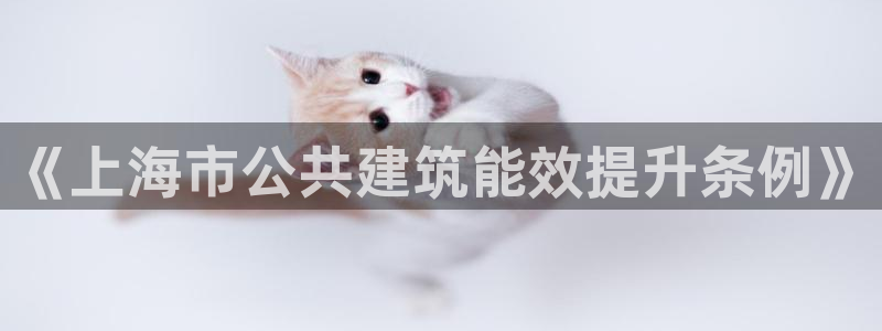 e尊国际-e尊国际官网：《上海市公共建筑能效提升条例》