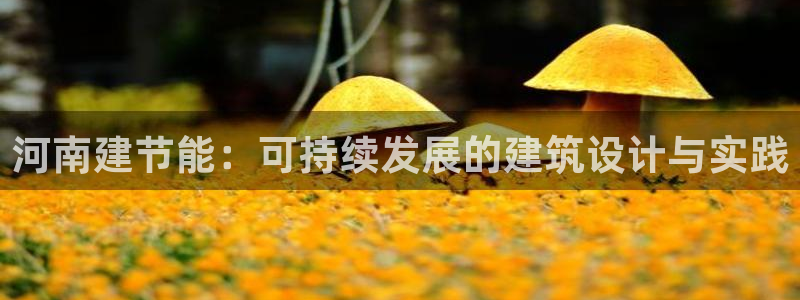 尊亿游戏国际官网：河南建节能：可持续发展的建筑设计与实践