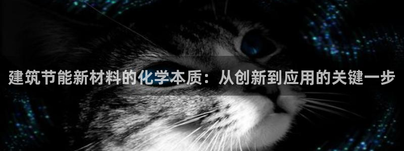 谁知道e尊国际的网址