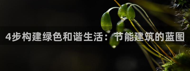 e尊国际平台