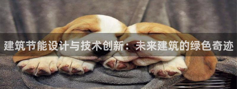 e尊国际官网·网址