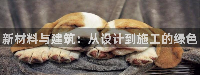 E尊国际网站