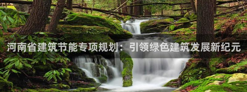 e尊国际网址